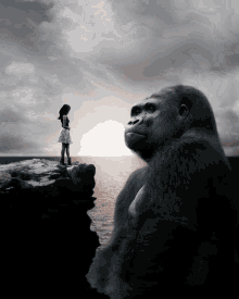 Gif animé King Kong film